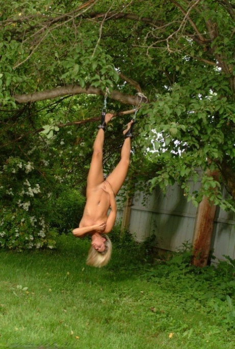 Naked blonde chick is hung upside down from a tree in handcuffs and ball gag
