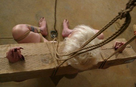 Hogtied starring Piercedangel Porn Gallery